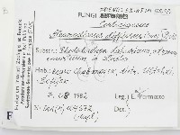 登錄號:F0015752藏品圖，第2張