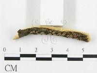 登錄號:F0015752藏品圖，第6張