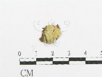 登錄號:F0015753藏品圖，第1張