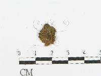 登錄號:F0015753藏品圖，第5張