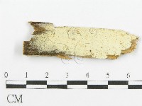 登錄號:F0015754藏品圖，第1張