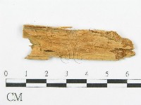 登錄號:F0015754藏品圖，第4張