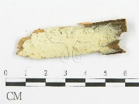 登錄號:F0015754藏品圖，第5張