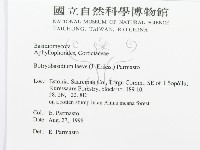 登錄號:F0015755藏品圖，第3張