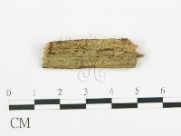 登錄號:F0015755藏品圖，第1張