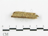 登錄號:F0015755藏品圖，第4張