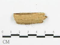 登錄號:F0015755藏品圖，第5張