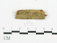 登錄號:F0015755藏品圖，第6張