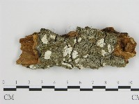 登錄號:F0015756藏品圖，第1張