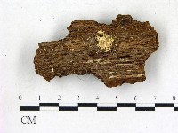 登錄號:F0015758藏品圖，第1張