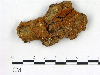 登錄號:F0015758藏品圖，第3張