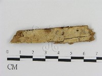 登錄號:F0015761藏品圖，第1張