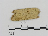 登錄號:F0015762藏品圖，第1張