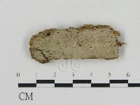 登錄號:F0015763藏品圖，第1張