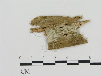 登錄號:F0015764藏品圖，第1張