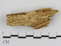 登錄號:F0015765藏品圖，第1張