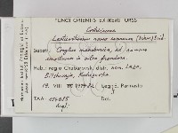 登錄號:F0015766藏品圖，第2張