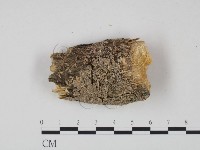 登錄號:F0015766藏品圖，第1張