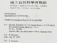 登錄號:F0015768藏品圖，第2張