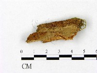 登錄號:F0015769藏品圖，第1張