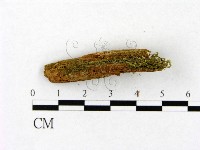 登錄號:F0015769藏品圖，第3張