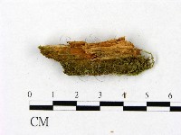登錄號:F0015769藏品圖，第4張