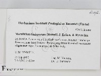 登錄號:F0015770藏品圖，第2張