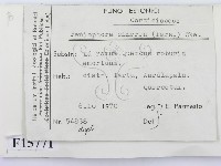 登錄號:F0015771藏品圖，第2張