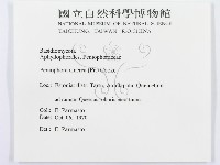 登錄號:F0015771藏品圖，第3張