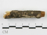 登錄號:F0015771藏品圖，第4張