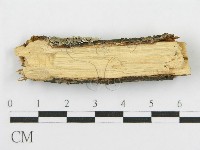 登錄號:F0015771藏品圖，第5張