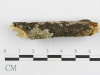 登錄號:F0015771藏品圖，第6張