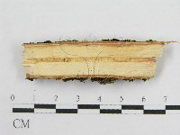 登錄號:F0015772藏品圖，第4張