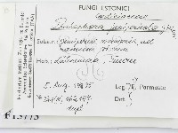 登錄號:F0015773藏品圖，第2張