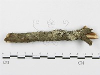 登錄號:F0015773藏品圖，第5張