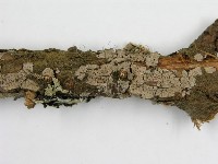 登錄號:F0015773藏品圖，第10張