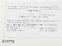 登錄號:F0015775藏品圖，第2張