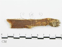 登錄號:F0015775藏品圖，第1張