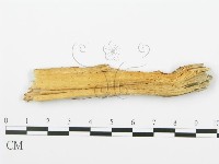 登錄號:F0015775藏品圖，第4張