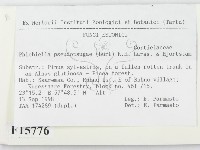 登錄號:F0015776藏品圖，第2張