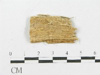 登錄號:F0015776藏品圖，第4張