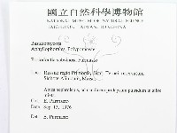 登錄號:F0015777藏品圖，第3張