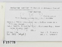 登錄號:F0015778藏品圖，第2張