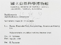 登錄號:F0015778藏品圖，第3張