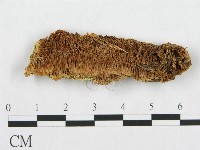 登錄號:F0015778藏品圖，第1張