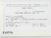 登錄號:F0015779藏品圖，第2張