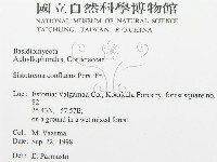 登錄號:F0015779藏品圖，第3張