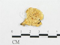 登錄號:F0015779藏品圖，第4張