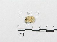 登錄號:F0015780藏品圖，第1張