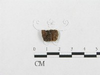 登錄號:F0015780藏品圖，第3張